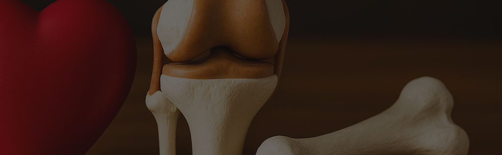 heart-joint-bone-supplements-marketing.png