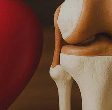 Heart-Joint-and-Bone-Health